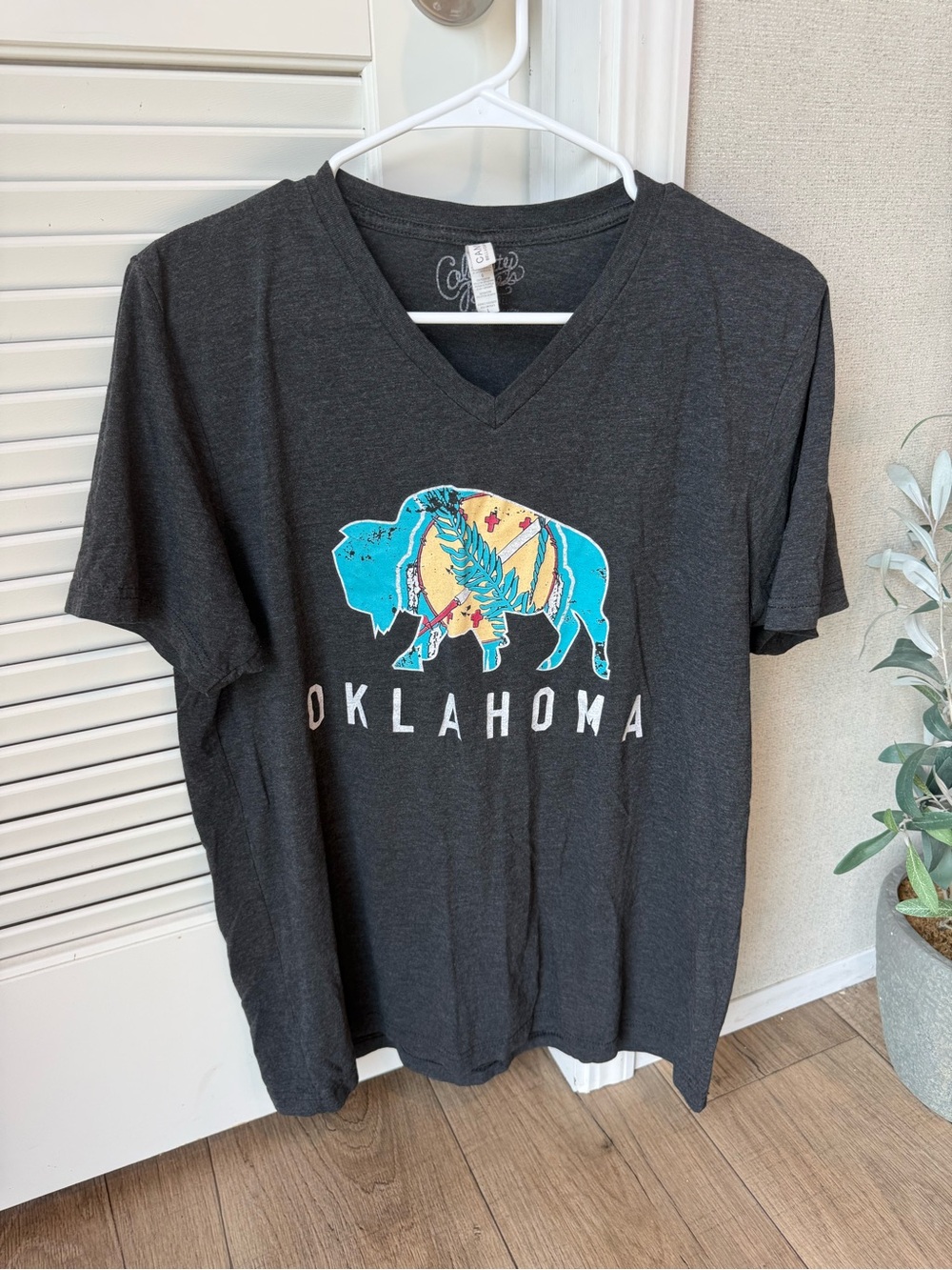 Oklahoma Graphic V-Neck T-Shirt with Turquoise Buffalo